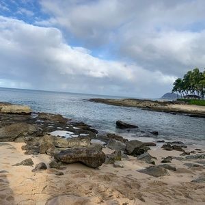 Meet your Posher, Sadie